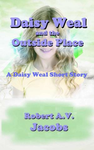 Cover of the book Daisy Weal and the Outside Place by Sylvie Simmons