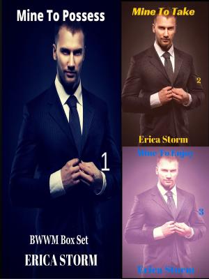 Cover of the book Mine To Possess Box Set by Erica Storm