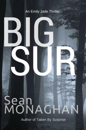 Book cover of Big Sur