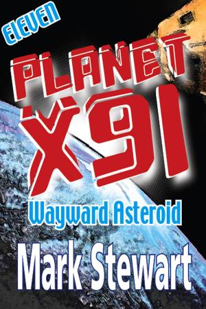 Cover of the book Planet X91 Wayward Asteroid by Mark Stewart