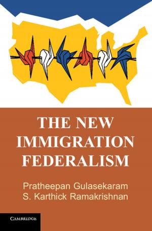 Book cover of The New Immigration Federalism