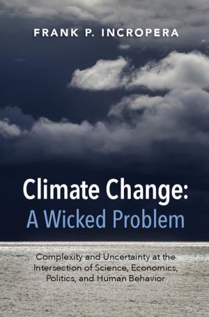 Cover of the book Climate Change: A Wicked Problem by Iain D. Thomson