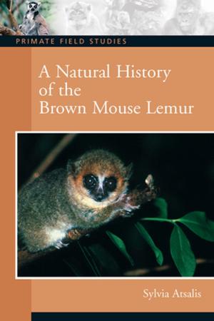Cover of the book A Natural History of the Brown Mouse Lemur by Mark Edmonds