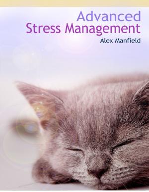 Cover of the book Advanced Stress Management by Jack R Ernest