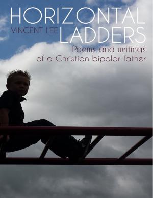 Cover of the book Horizontal Ladders by Robert R. Railey