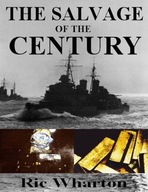 bigCover of the book The Salvage of the Century by 