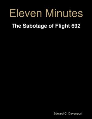 Cover of the book Eleven Minutes by R Campbell Zaino