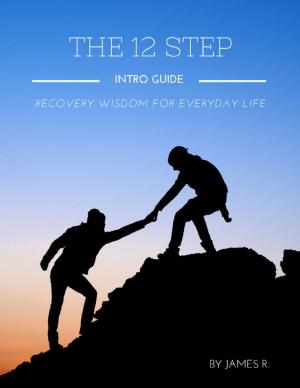 Cover of the book The 12 Step Intro Guide - Recovery Wisdom for Everyday Life by Chinmoy Mukherjee