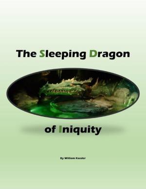 Cover of the book The Sleeping Dragon of Iniquity by M. Issa Seck