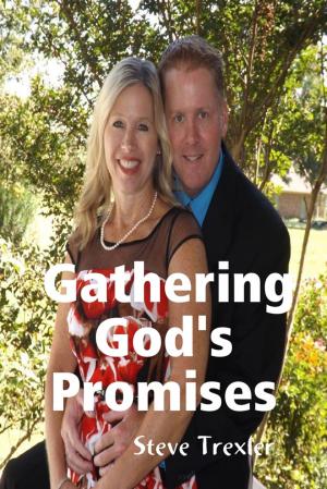 bigCover of the book Gathering God's Promises by 