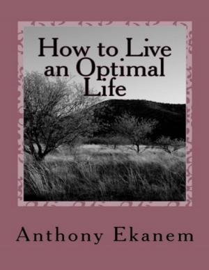 Cover of the book How to Live an Optimal Life by David Wright