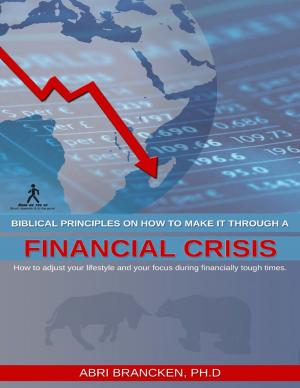 Cover of the book Biblical Principles On How to Make It Through a Financial Crisis by Douglas Christian Larsen
