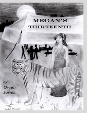 Cover of the book Megan's Thirteenth by Virinia Downham