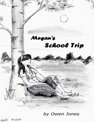Cover of the book Megan's School Trip by Robin Wyatt Dunn