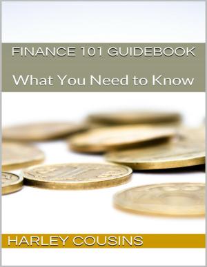 Book cover of Finance 101 Guidebook: What You Need to Know