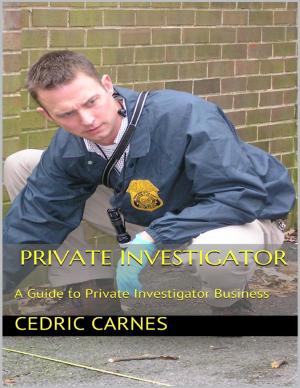 Cover of the book Private Investigator: A Guide to Private Investigator Business by Bill Stonehem