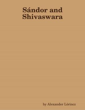 Cover of the book Sándor and Shivaswara by Daniel Blue