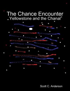 Book cover of The Chance Encounter - Yellowstone and the Chanal