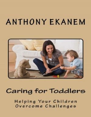 Cover of the book Caring for Toddlers: Helping Your Children Overcome Challenges by Dustin Humphreys