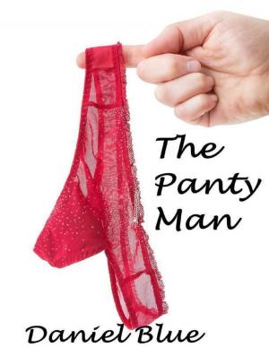 Cover of the book The Panty Man by Javin Strome
