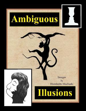 Cover of the book Ambiguous Illusions by Mike Hockney