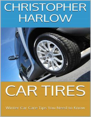 Cover of the book Car Tires: Winter Car Care Tips You Need to Know by Justin Tully
