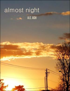 Cover of the book Almost Night by Fred Files