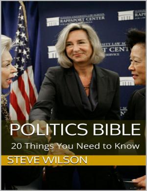 Cover of the book Politics Bible: 20 Things You Need to Know by Chelcie A. Tellez