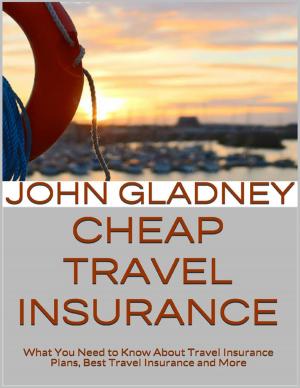 Cover of the book Cheap Travel Insurance: What You Need to Know About Travel Insurance Plans, Best Travel Insurance and More by Jonathon Waterman