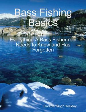 Cover of the book Bass Fishing Basics by Janet Morgan