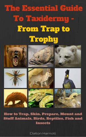 bigCover of the book The Essential Guide to Taxidermy - From Trap to Trophy by 