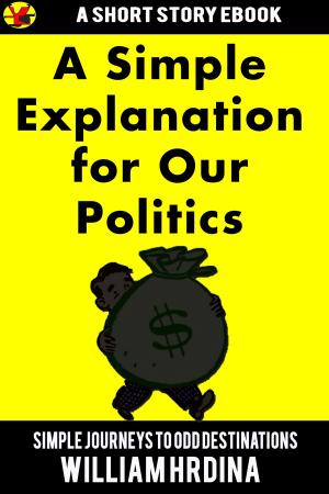 bigCover of the book A Simple Explanation for Our Politics by 
