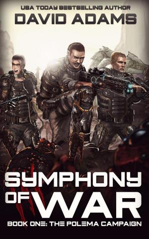 Cover of the book Symphony of War: The Polema Campaign by V. A. Jeffrey