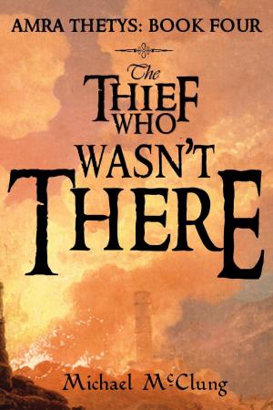 Cover of the book The Thief Who Wasn't There by E. E. Jackson