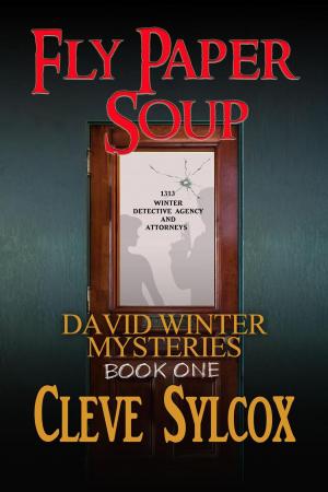 Book cover of Fly Paper Soup