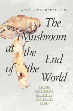 Cover of the book The Mushroom at the End of the World by Karen Anderson