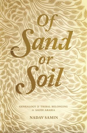 Cover of the book Of Sand or Soil by Robert Wuthnow