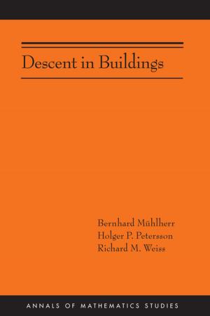 Cover of the book Descent in Buildings (AM-190) by Chantal David, Freeman Dyson, Jane Fulcher, Peter Goddard, Barbara Kowalzig, Wolf Lepenies, Paul Moravec, Institute for Institute for Advanced, Michael Francis Atiyah, Joan Wallach Scott, David H. Weinberg