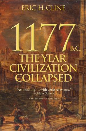 Cover of the book 1177 B.C. by William G. Bowen, Sarah A. Levin, James L. Shulman, Colin G. Campbell, Susanne C. Pichler, Martin A. Kurzweil