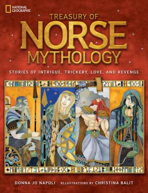 Cover of the book Treasury of Norse Mythology by John Bul Dau, Michael S. Sweeney