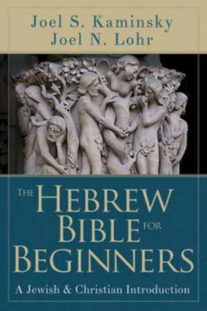 Book cover of The Hebrew Bible for Beginners
