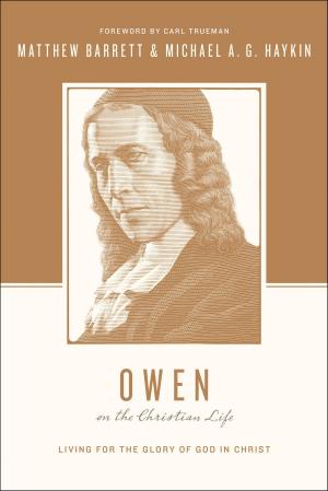 Cover of the book Owen on the Christian Life by John Piper