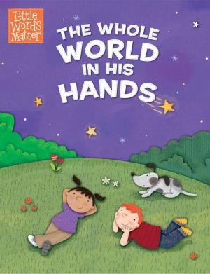 Cover of the book The Whole World in His Hands by David S. Dockery
