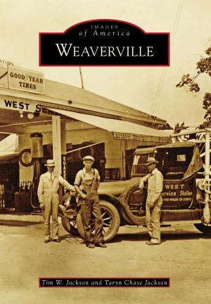 Book cover of Weaverville
