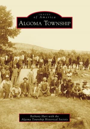 Cover of the book Algoma Township by Courtney McInvale