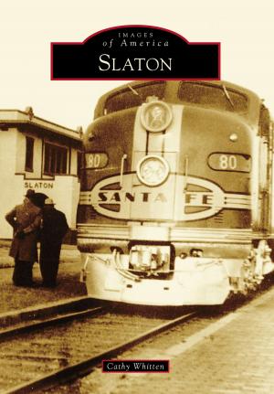 Cover of the book Slaton by Brian Stuart Kesterson