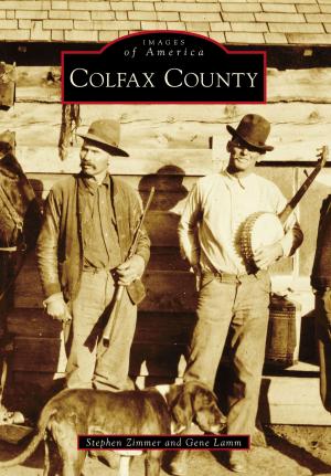 Cover of the book Colfax County by Carolyn Marvin