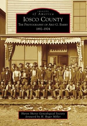 Cover of the book Iosco County by Paul Boothroyd, Lewis Halprin