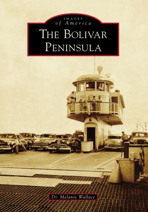 Book cover of The Bolivar Peninsula