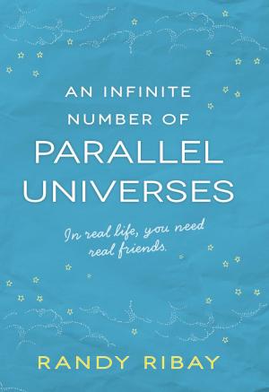 Cover of the book An Infinite Number of Parallel Universes by A. Destiny, Elizabeth Lenhard
